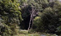 I feel quite naked like this.jpg