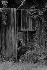 Old Cowshed Masgiral Mono web1.jpg