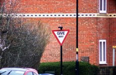 chlens test1.jpg chlens test1.jpg