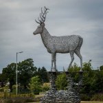 Stag Sculpture 3-1000300adjuploadLUF.jpg