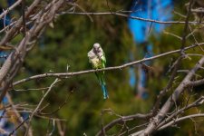 _ASA0578-Edit.jpg _ASA0578-Edit.jpg