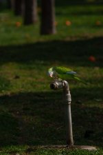 _ASA0617-Edit-Edit.jpg _ASA0617-Edit-Edit.jpg