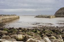 1-DSC04869.jpg 1-DSC04869.jpg