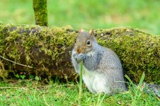 DSC_8662.jpg DSC_8662.jpg