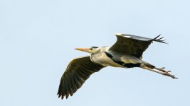 DSC_8667.jpg DSC_8667.jpg