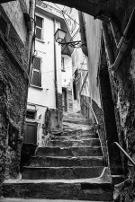 Streets of Riomaggiore resize.jpg