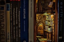 Snapseed.jpeg Snapseed.jpeg