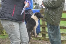 _7818068.jpg _7818068.jpg