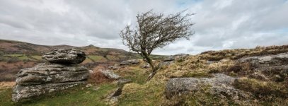009 Bench Tor (Lone Tree) 09-0756 PS Adj.JPG 009 Bench Tor (Lone Tree) 09-0756 PS Adj.JPG