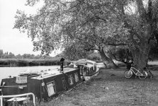 2023-8-25 Houghton - St Ives XP2m Centon K100, HC110 Dil E,010.jpg 2023-8-25 Houghton - St Ives XP2m Centon K100, HC110 Dil E,010.jpg