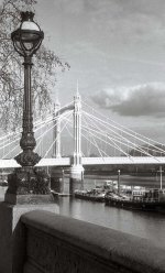 1709545475785.jpeg 1709545475785.jpeg