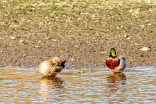 IMG_4982.jpg IMG_4982.jpg