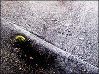 Frosty roof Ixus 70 IMG_4443.jpg