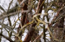 0010 06 03 24.jpg 0010 06 03 24.jpg