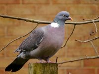 P1050008.jpg P1050008.jpg