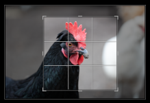 Screenshot 2024-03-11 173250.png Screenshot 2024-03-11 173250.png