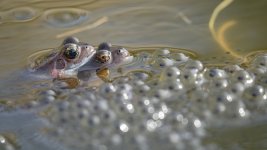 _7824656.jpg _7824656.jpg