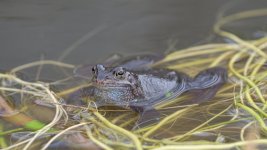 _7824681.jpg _7824681.jpg