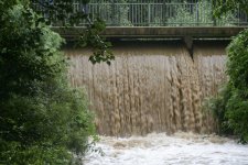 127 (127 of 1).jpg 127 (127 of 1).jpg