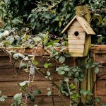 001 Blue Tit 01-0889 PS Adj Upload.JPG