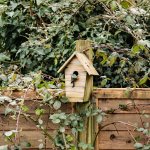 002 Blue Tit 02-0894 PS Adj Upload.JPG