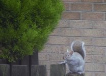 1 cropped.jpg 1 cropped.jpg