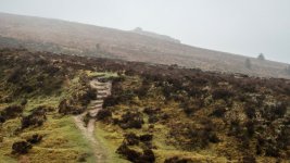 003 Birch Tor 02-8064 PS Adj.JPG 003 Birch Tor 02-8064 PS Adj.JPG