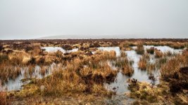 008 Birch Tor (Boggy Ground) 07-8084 PS Adj.JPG 008 Birch Tor (Boggy Ground) 07-8084 PS Adj.JPG
