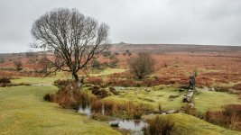 012 Vitifer Mine Leat Ruins 01-8090 PS Adj.JPG 012 Vitifer Mine Leat Ruins 01-8090 PS Adj.JPG