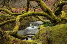 016 Vitifer Track Back to CP 01-8103 PS Adj.JPG 016 Vitifer Track Back to CP 01-8103 PS Adj.JPG