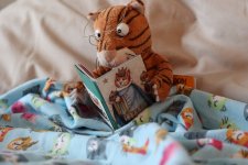 QG8A0280-3.jpg QG8A0280-3.jpg