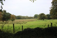 715A7315 (Large).JPG