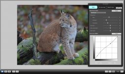 Screenshot 2024-03-18 at 22.58.36.jpg