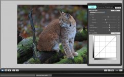 Screenshot 2024-03-18 at 22.57.17.jpg