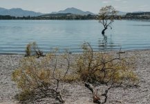 Screenshot 2024-03-22 085334.jpg