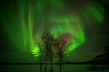 _ASA5263.jpeg _ASA5263.jpeg