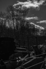 Shadows and silhouettes .jpg