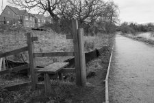 _7514026.jpg _7514026.jpg