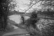 _7514019.jpg _7514019.jpg