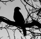 0000000001.jpg 0000000001.jpg