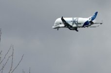 Beluga XL.jpg