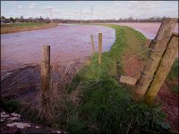 Flooding February 2024 Clyst St Mary E-PL1  P1011555.jpeg