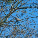 WhatsApp Image 2024-04-04 at 10.54.45.jpeg