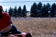 CS72B05_Adj Cricket.jpg