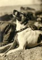 1712432985194.jpeg 1712432985194.jpeg