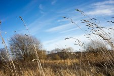 DSC09308.JPG DSC09308.JPG