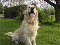 Young Charlie-47.jpg