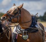 Week 14 - Gob shot.jpg