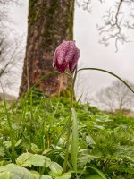 Worms eye view.JPG Worms eye view.JPG