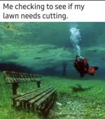 wetlawn.jpg